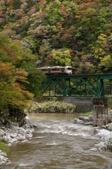 高山本線　飛越紅葉