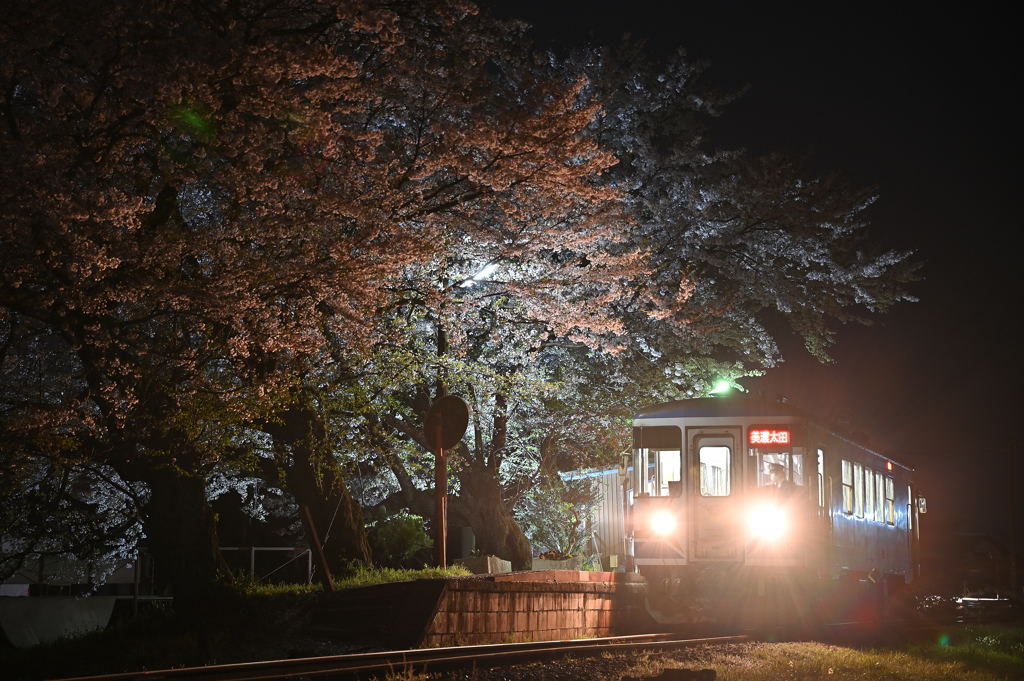 夜桜とながてつ