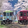 郡上大和駅とサクラ　南