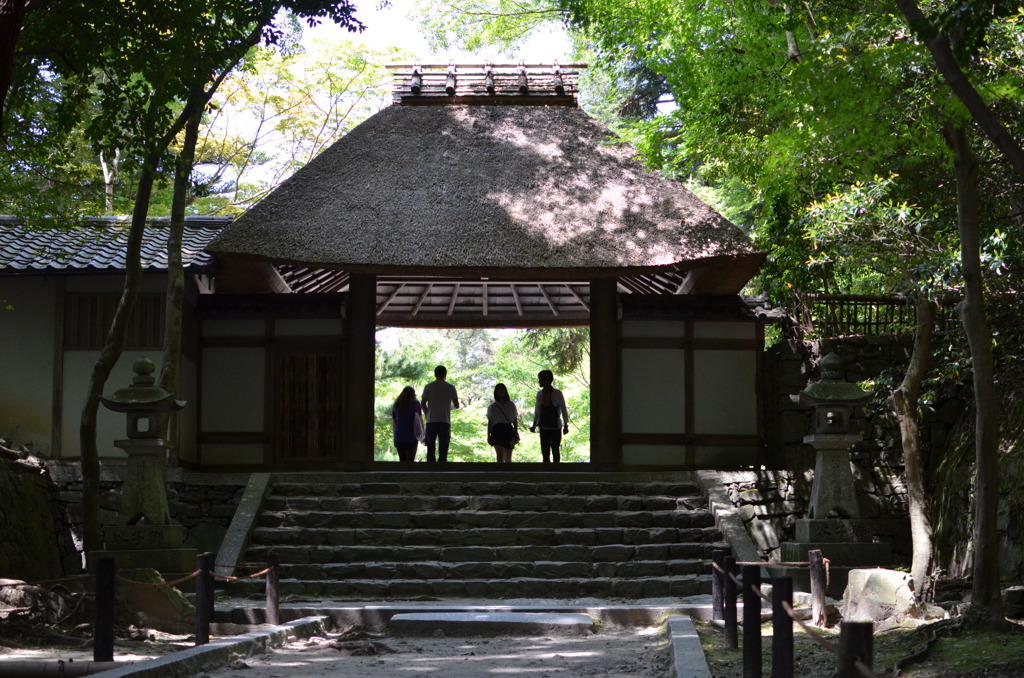 法然院　初夏