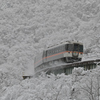 大雪の中を