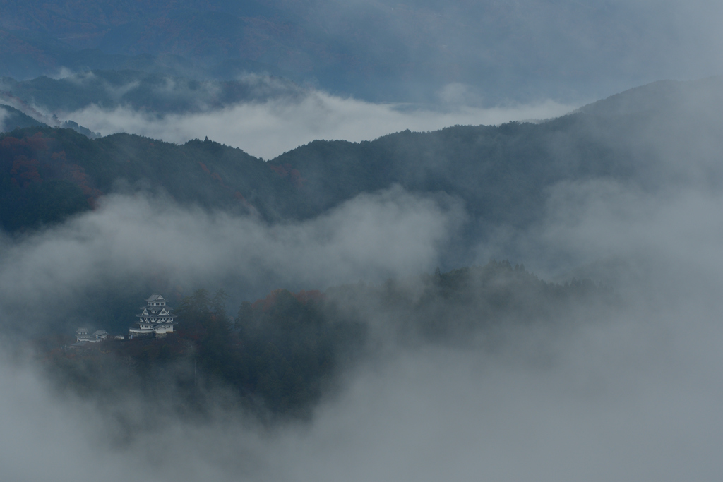 天空の城　郡上八幡城