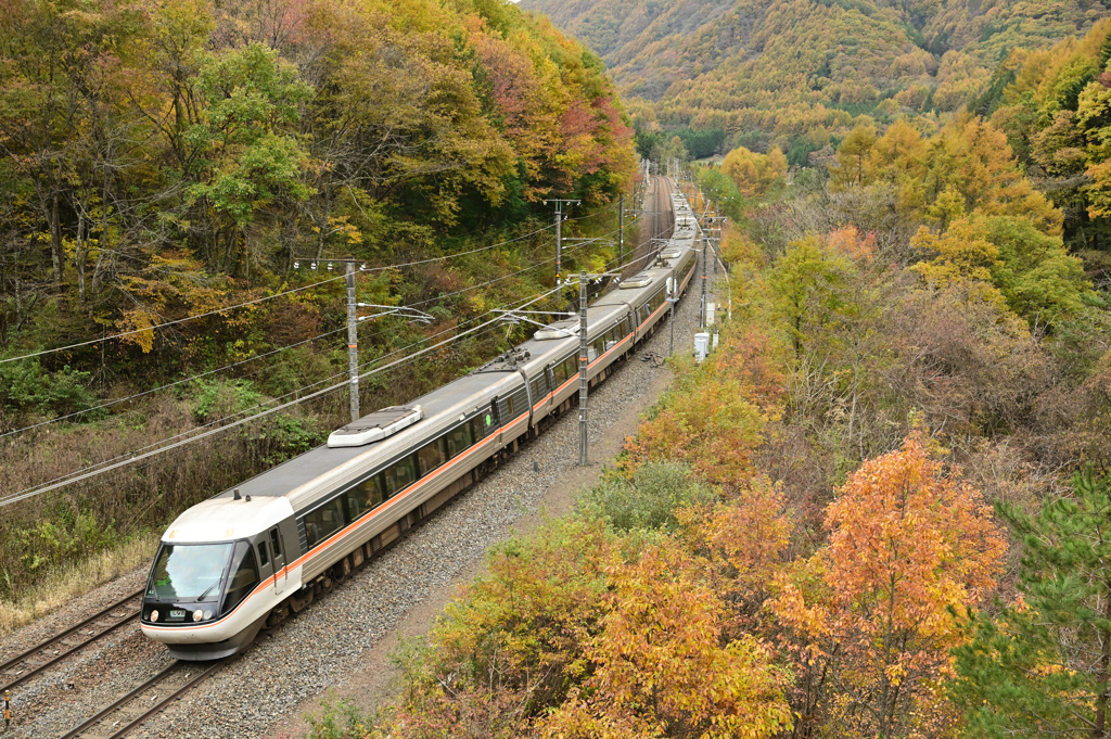 紅葉の中を走る