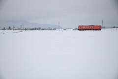 白と朱