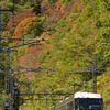 紅葉と383系②