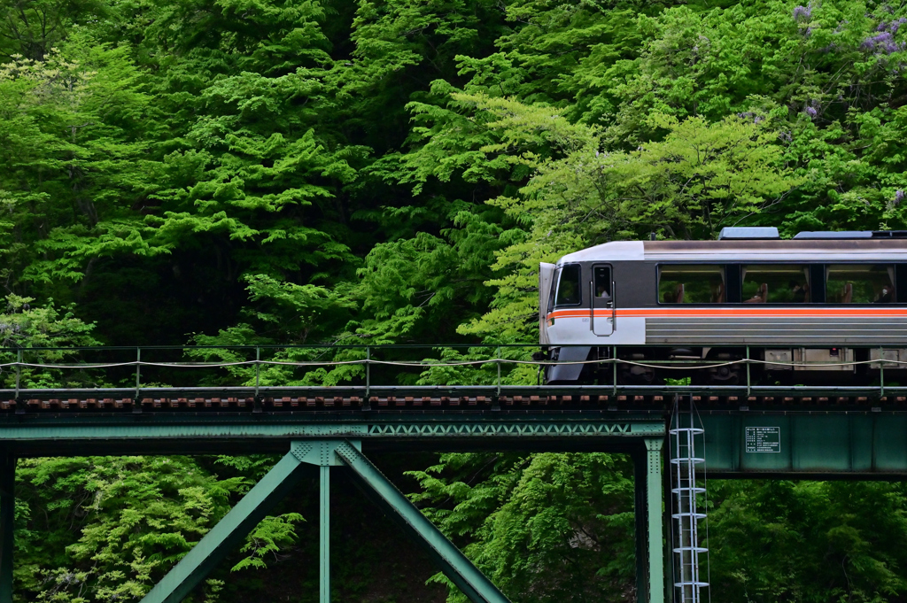 緑とキハ85系