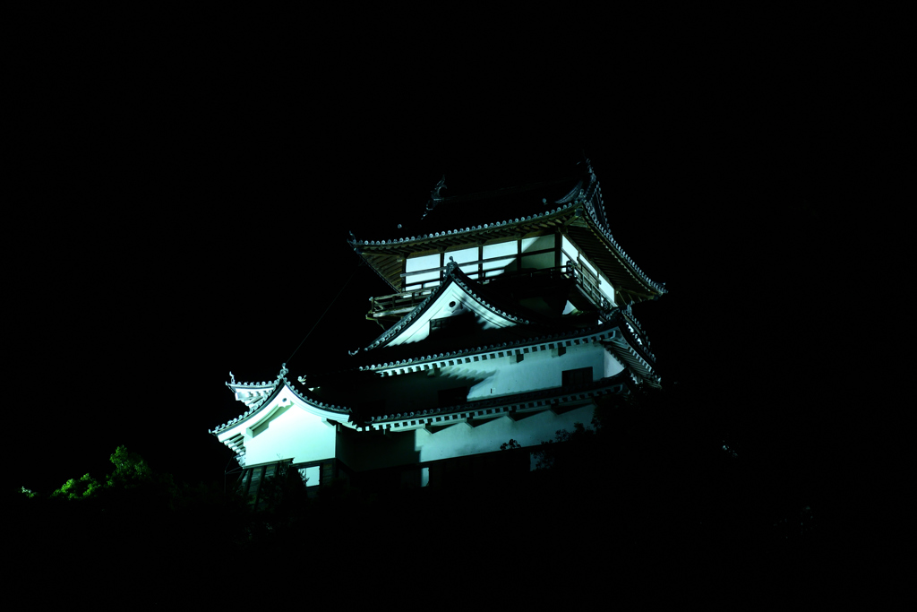 夜の犬山城2