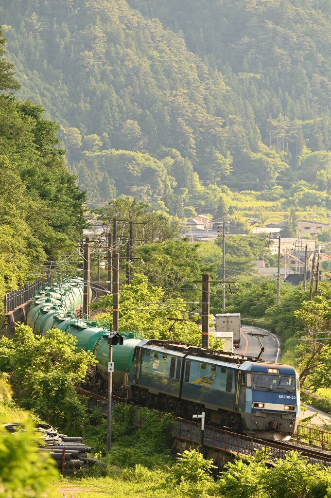 信濃へ運ぶ