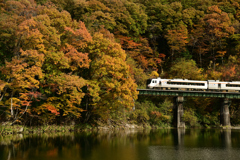高山本線のモネ
