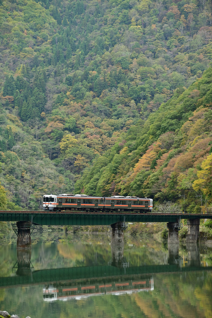 紅葉が、始まりました。