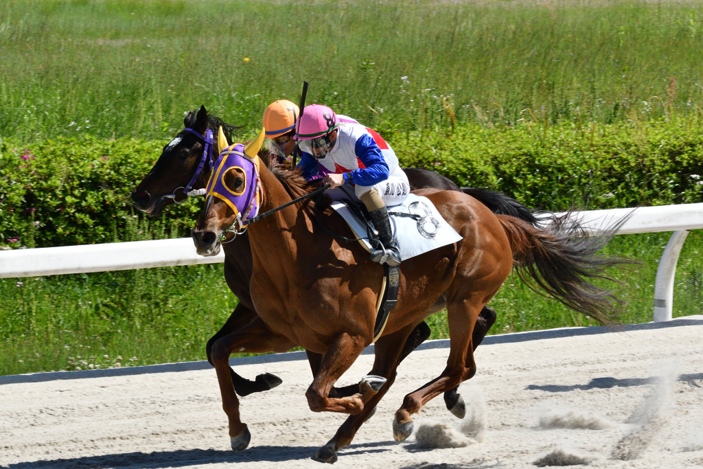 笠松競馬場　4