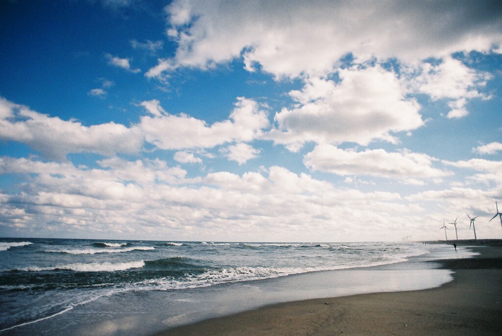 海