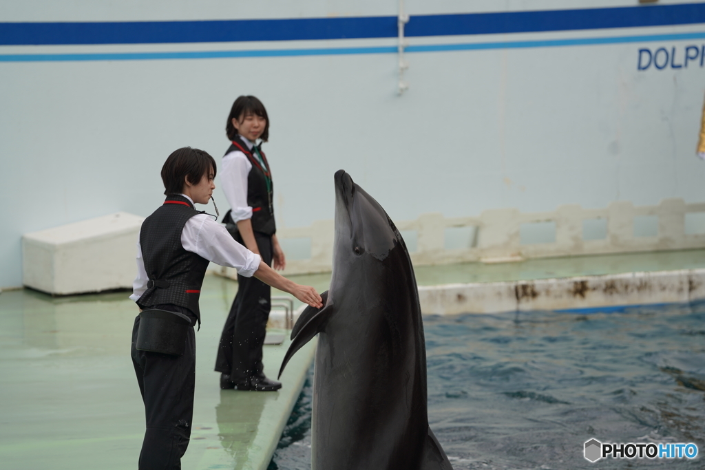 品川水族館_7