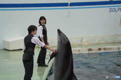 品川水族館_7