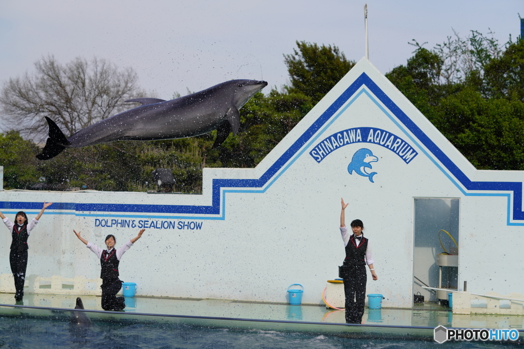 品川水族館_2