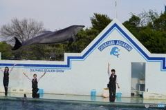 品川水族館_2