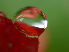 雫５