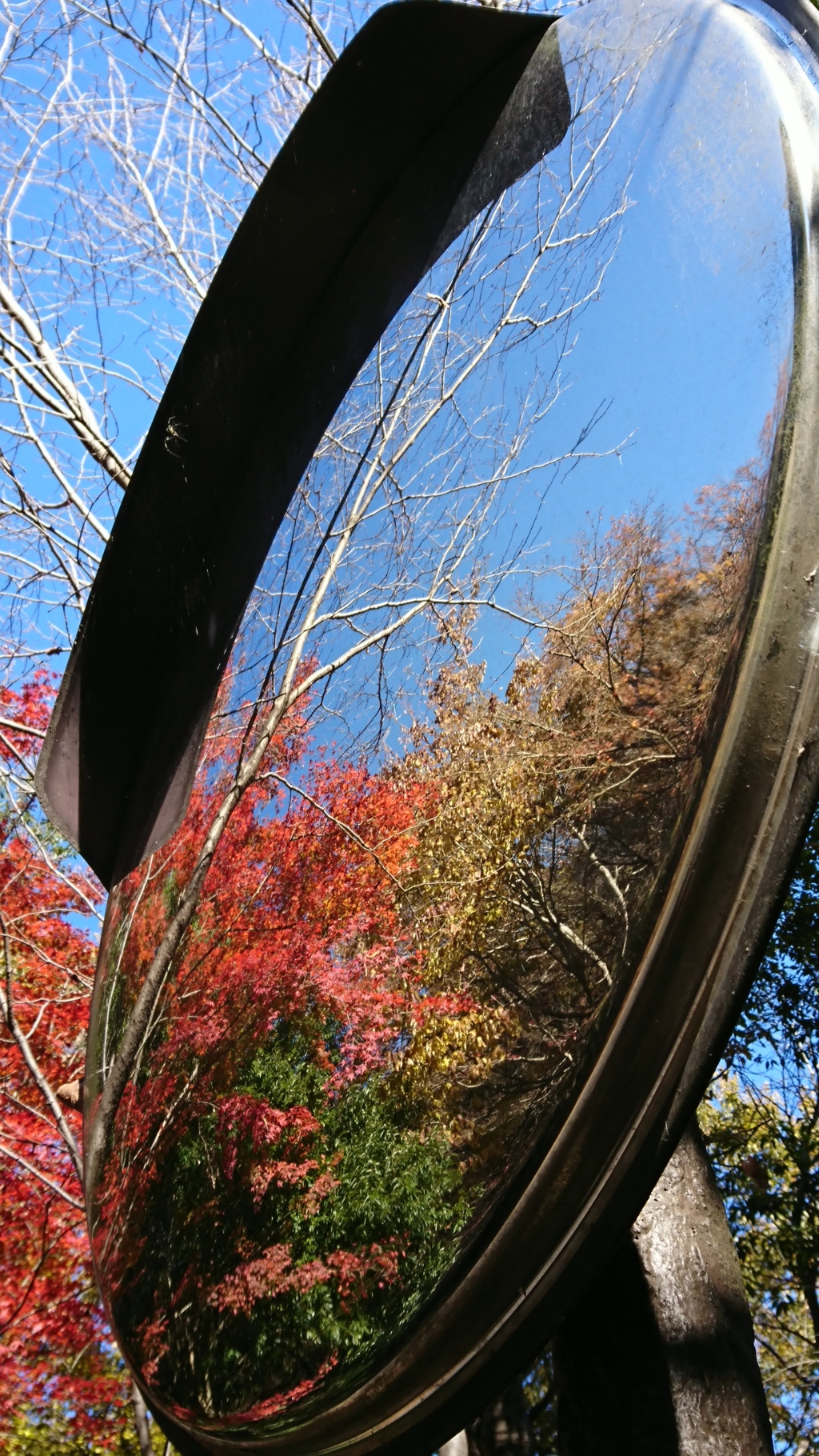 カーブの先に