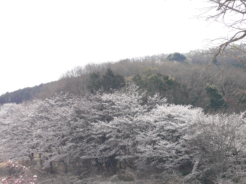 空が青かったなら