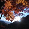 太平山の秋