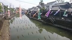 鯉の滝登り