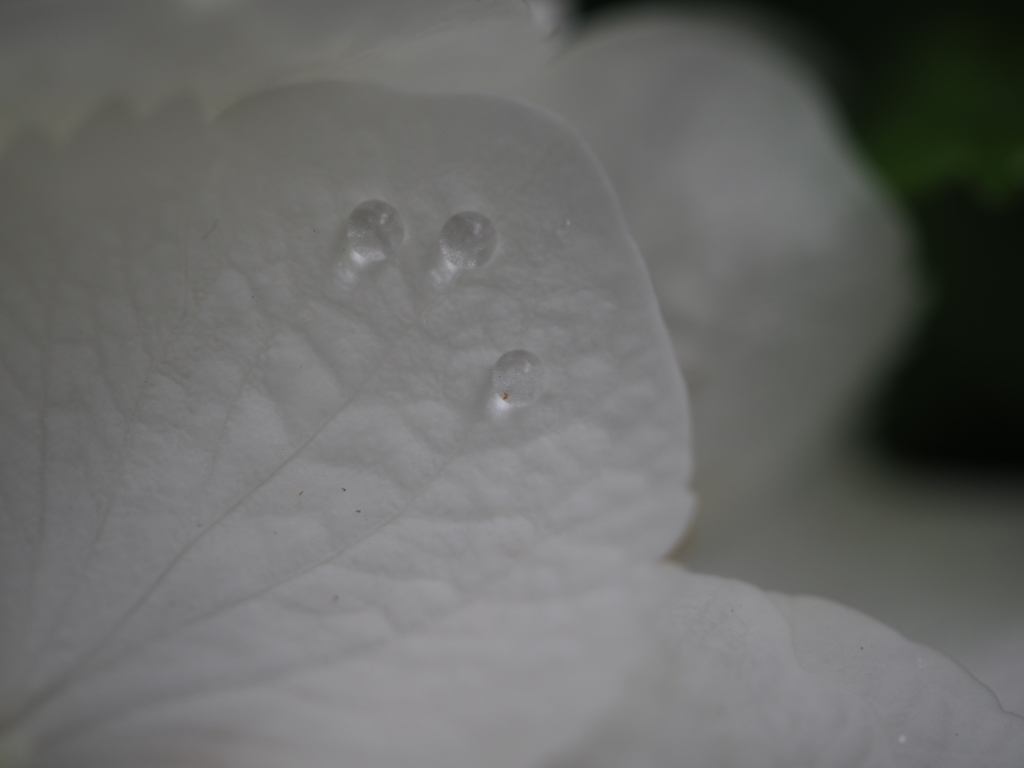 水滴三兄弟