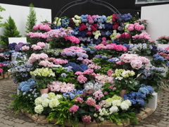 とちぎ花センター企画展示