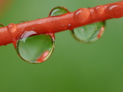 雫４