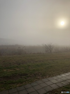 001 霧の朝