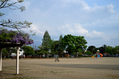 児童公園の藤棚③