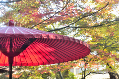 やまがた秋のハレとケまつり　旧千歳館 庭園①