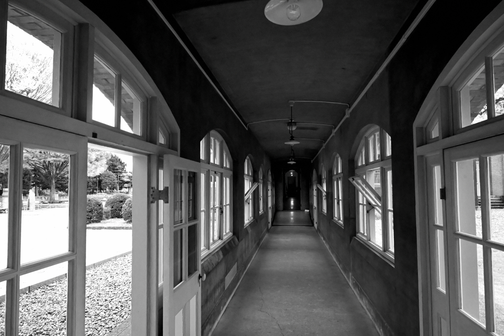 2025秋　山形県郷土館 文翔館　フィルムグレイン3⑦