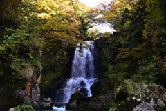 2021-10-31　奈曽の白滝　