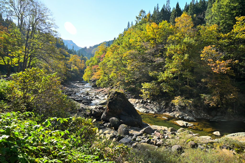 D2024紅葉三昧④朝日川