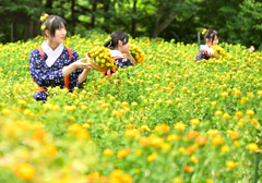 第40回 やまがた紅花まつり　紅花娘の写真撮影会④