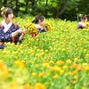 第40回 やまがた紅花まつり　紅花娘の写真撮影会④