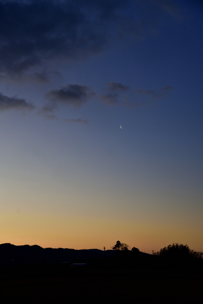 雪上がりの夜空に煌めく