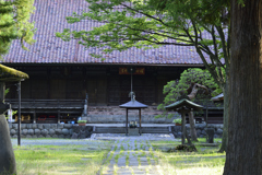 夏の国分寺の朝