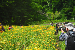 第40回 やまがた紅花まつり　閑話休題　撮る人を撮る