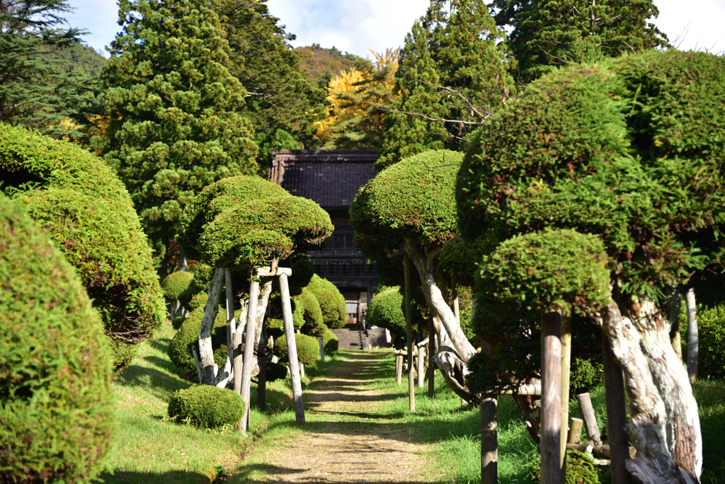 2021-11-6 総光寺