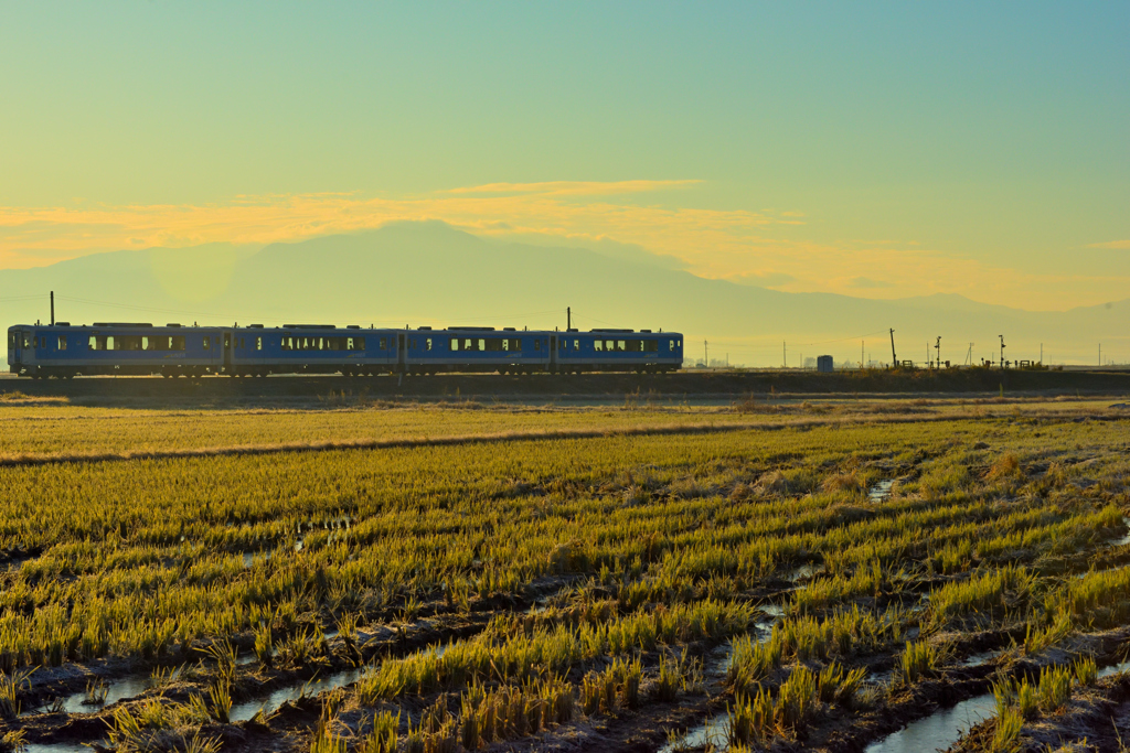2025 秋　汽車の日④
