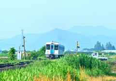 夏至の農家は忙しい