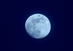 月は無慈悲な夜の女王
