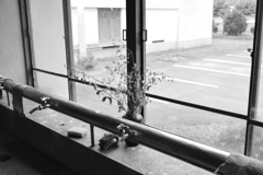 旧校舎の水場