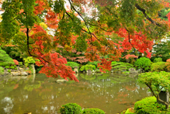 2025 文化の日②もみじ公園