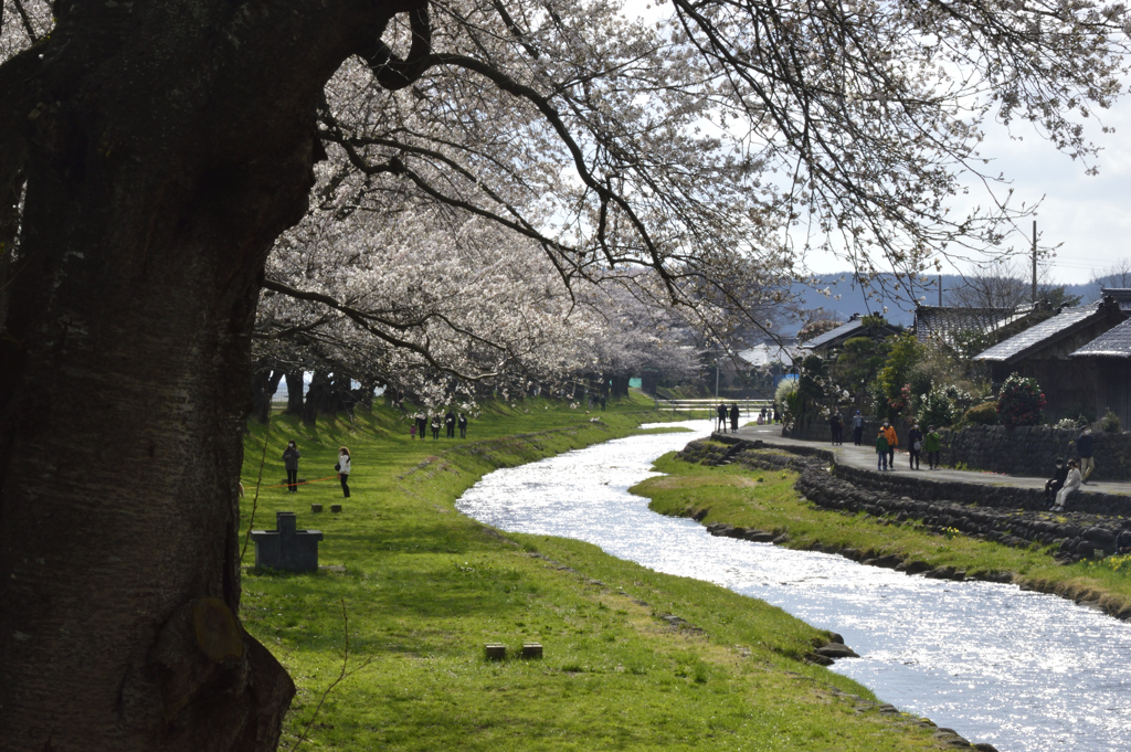 2022-4-19 中山公園3