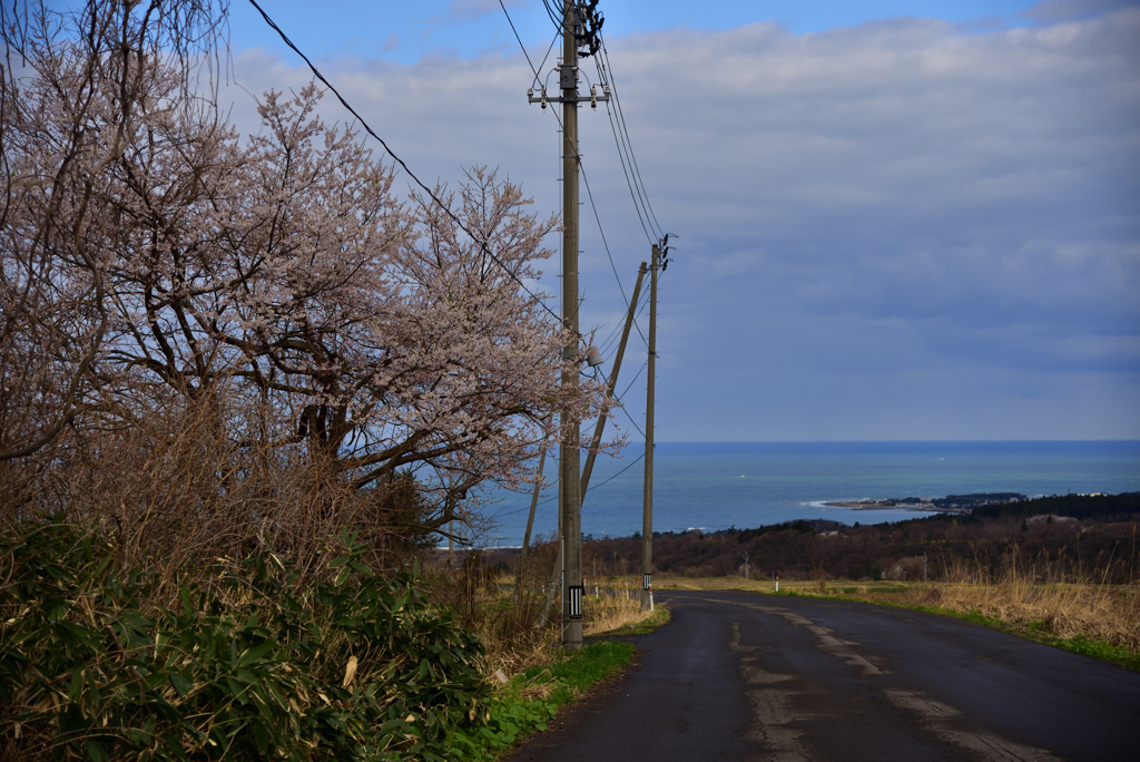 海の見える丘から