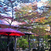 やまがた秋のハレとケまつり　旧千歳館 庭園③