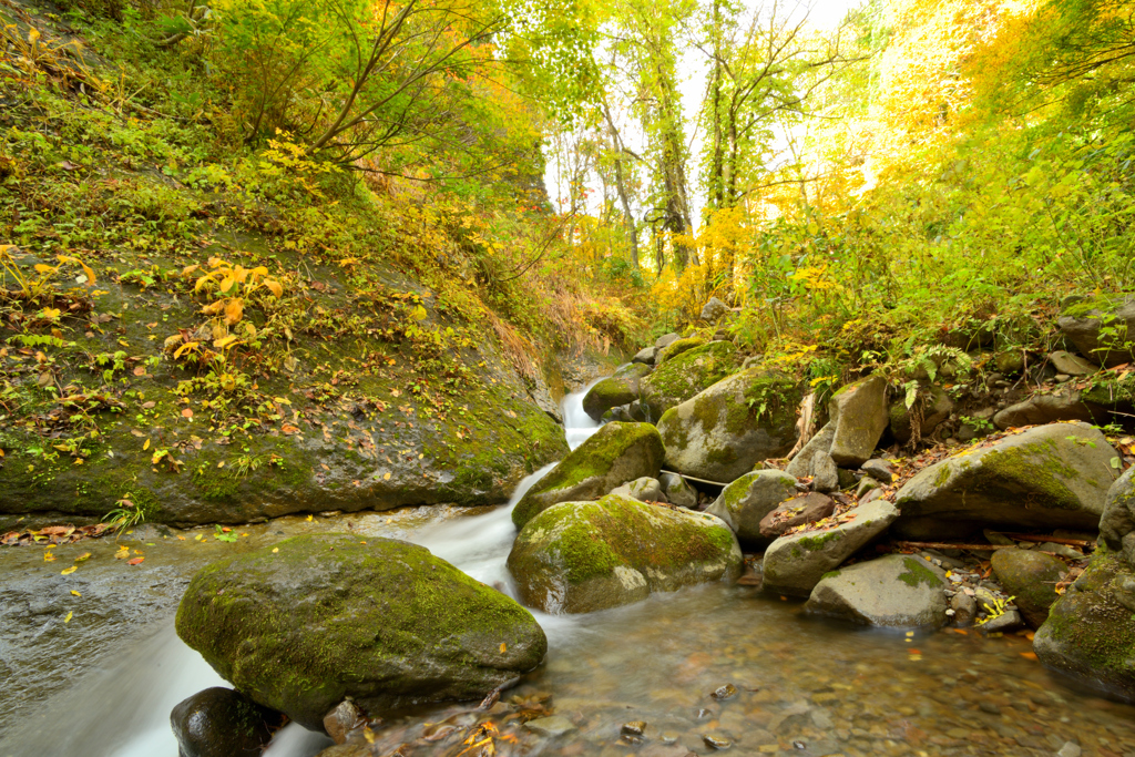 2025 秋-樽石川　散策④
