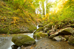 2025 秋-樽石川　散策④